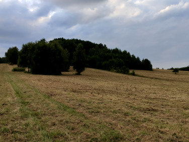 Działka rolna Jerzmanowice sprzedam