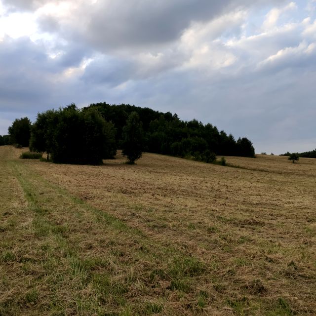Działka rolna Jerzmanowice sprzedam
