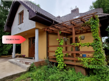 Lokal Rokitki