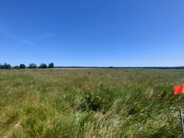 Działka budowlana Niestkowo