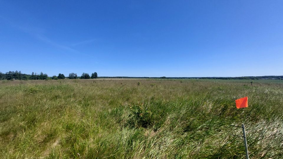 Działka budowlana Niestkowo
