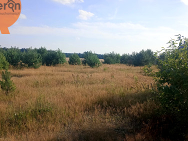 Działka budowlana Wysieradz