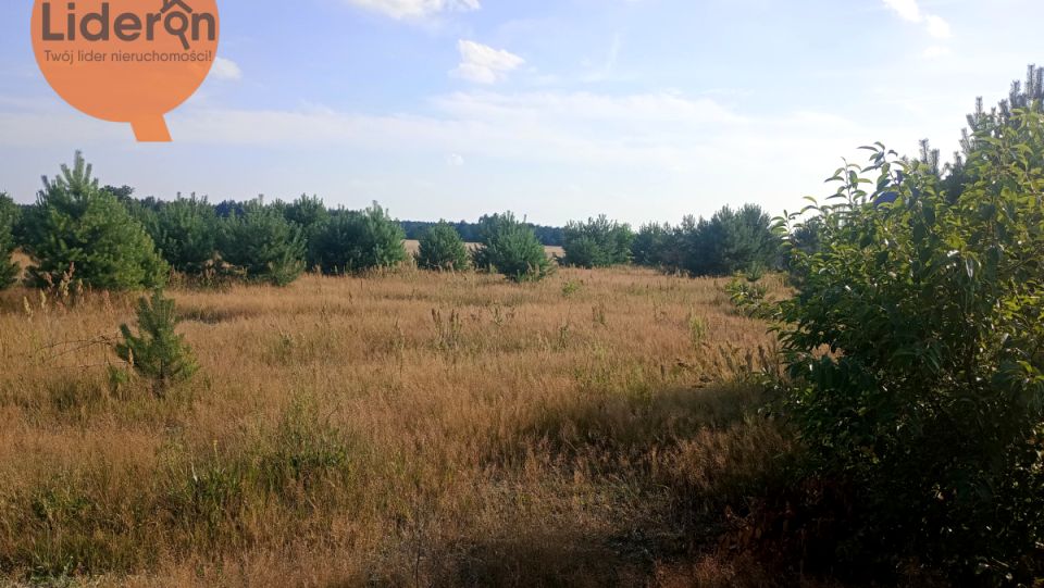 Działka budowlana Wysieradz