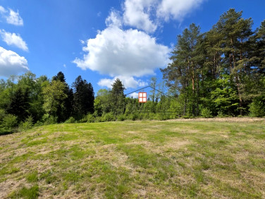 Działka Olchowiec