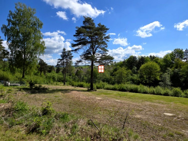 Działka Olchowiec