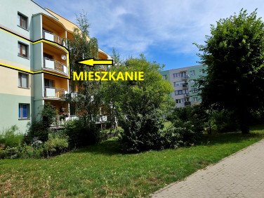 Mieszkanie Kutno