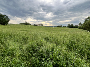 Działka rolna Miłusze