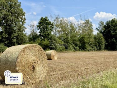 Działka budowlana Ligota Łabędzka