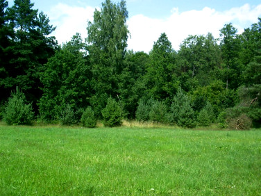 Działka budowlana Nowa Wieś Ełcka