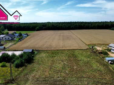 Działka Kownaty