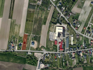 Działka budowlana Wolbórz
