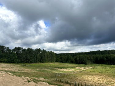 Działka Studzianki