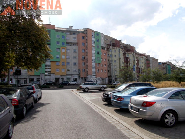 Lokal Wrocław