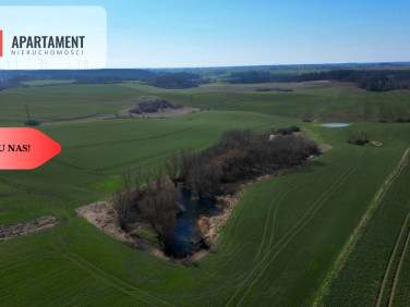 Działka siedliskowa Gniew sprzedam