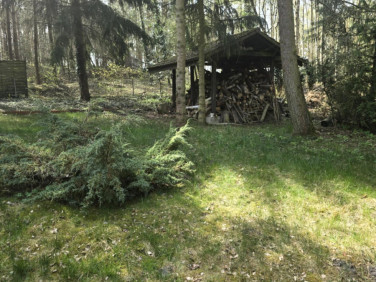 Działka Smolniki Powidzkie