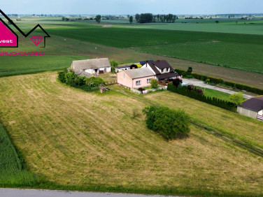 Dom Wiśniewa-Kolonia
