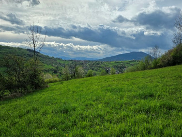 Działka rolna Podobin sprzedam