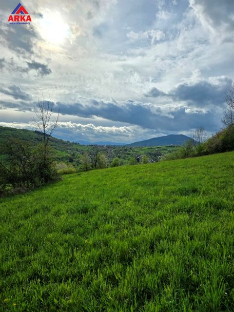 Działka rolna Podobin sprzedam