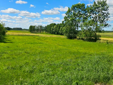 Działka Gliniski