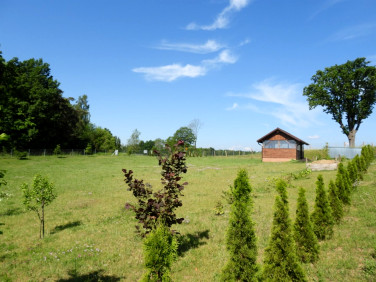 Działka siedliskowa Nejdyki