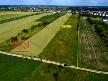 Działka przy lesie