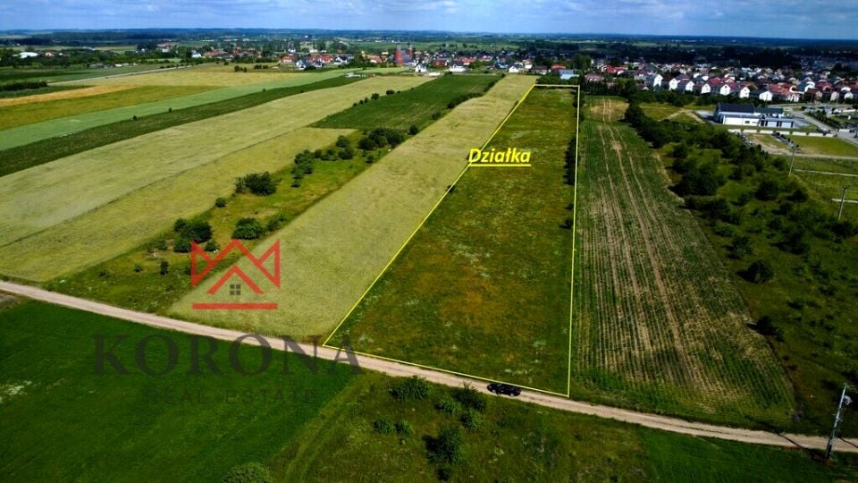 Działka przy lesie