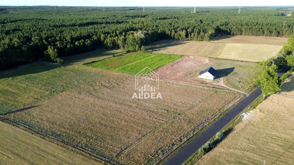 Działka budowlana Dąbrowa Wielka