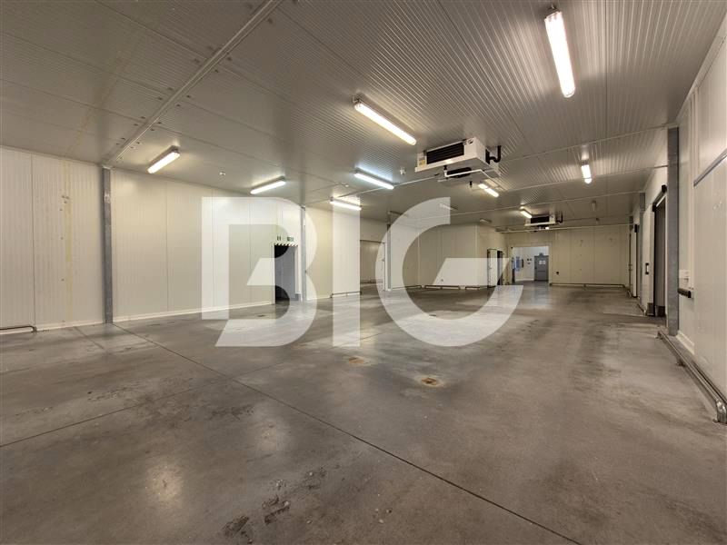 Budynek użytkowy Gdańsk wynajem