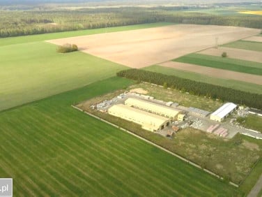 Działka inwestycyjna Kruszyna