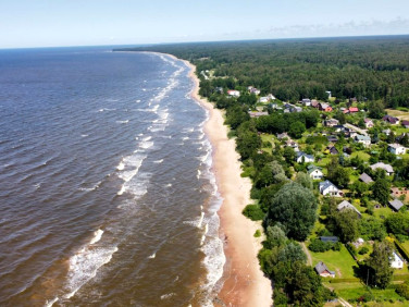 Działka inwestycyjna tuja