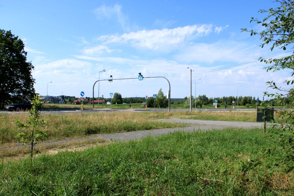 Zdjęcie 3