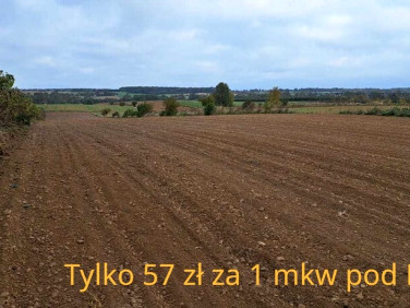 Działka budowlana Panieńszczyzna sprzedam