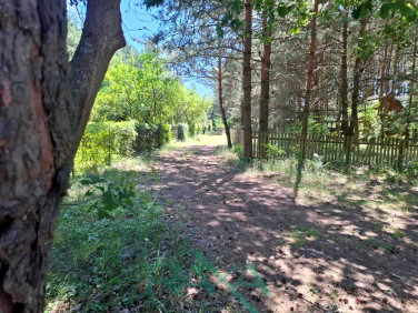 Działka BORSUKI-KOLONIA