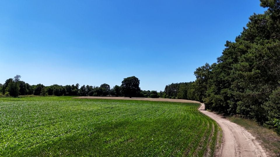 Działka budowlana Lisków
