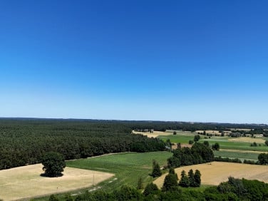 Działka Lisków