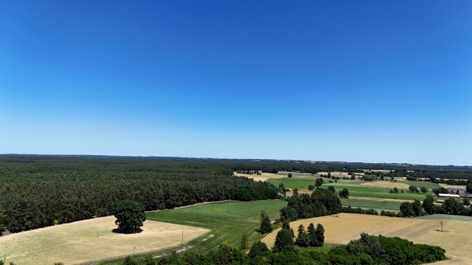 Działka Lisków