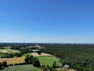 Działka Lisków