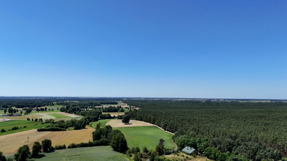 Działka Lisków