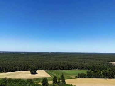 Działka Lisków