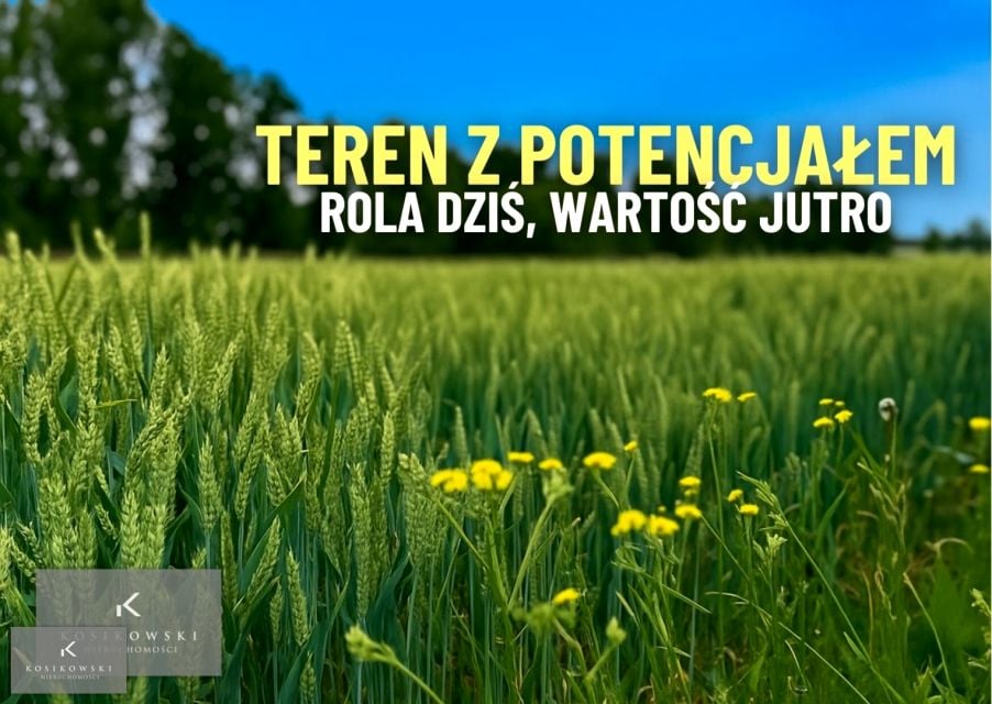 Działka Namysłów