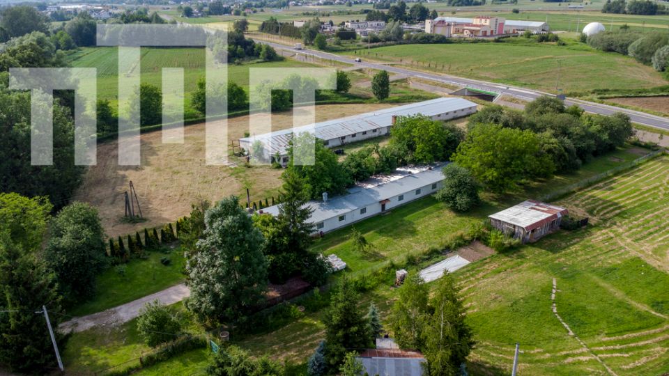 Lokal Łańcut