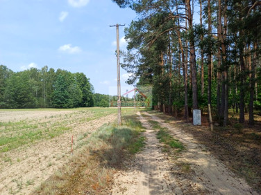 Działka budowlana Wola Pieczyska