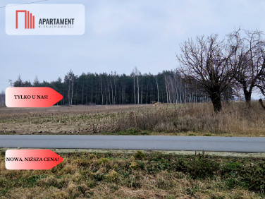 Działka Rogowo