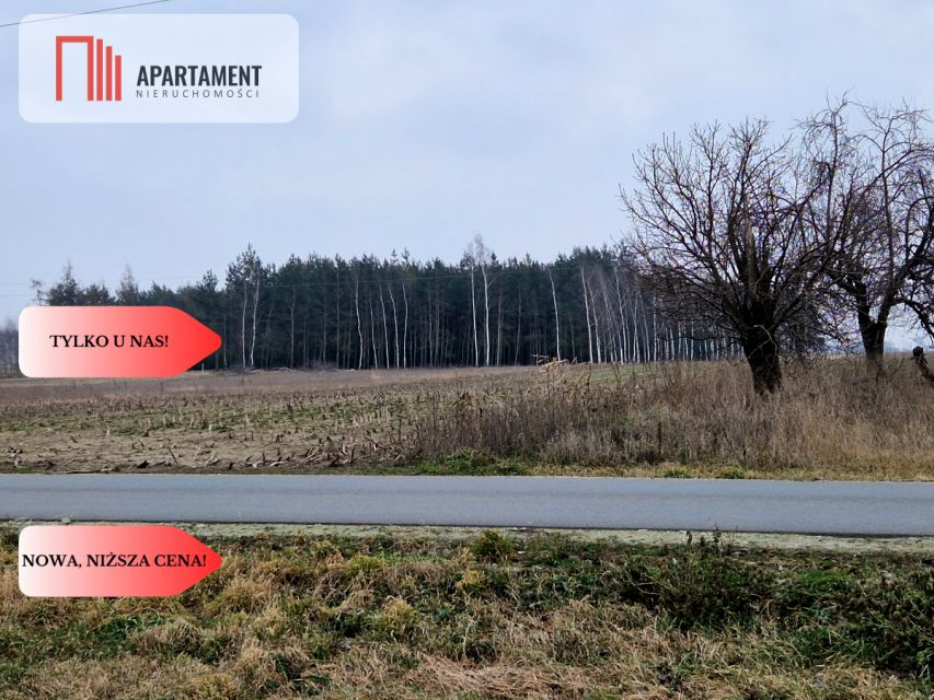 Działka Rogowo