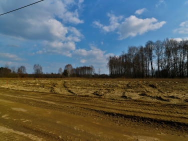 Działka budowlana Zalesiany