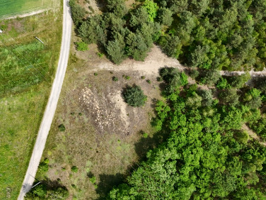 Działka Ceków-Kolonia