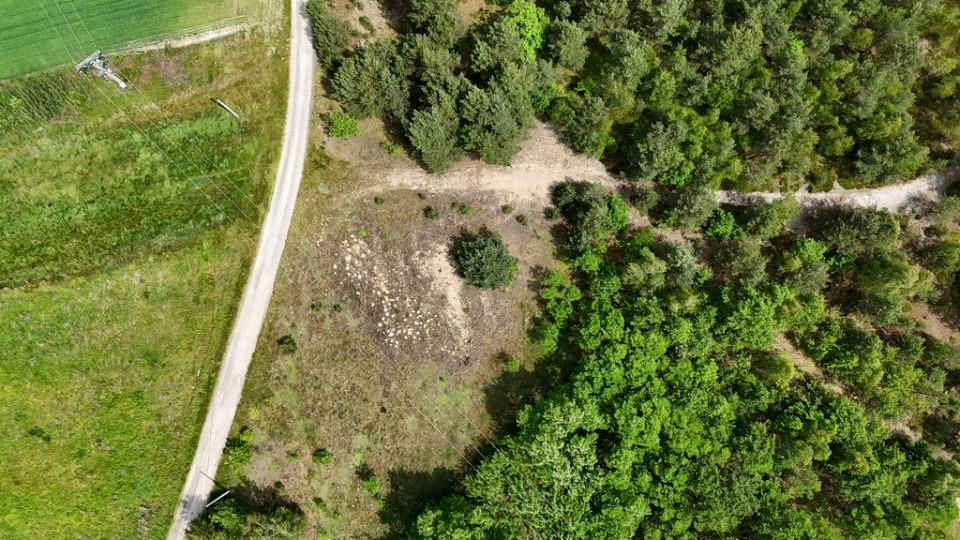 Działka Ceków-Kolonia