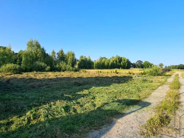 Działka BIEDASZKÓW WIELKI