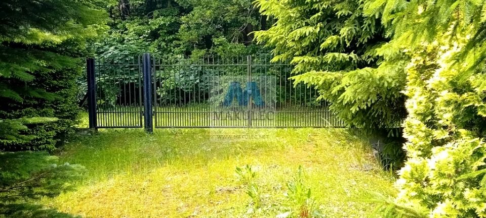 Zdjęcie 2