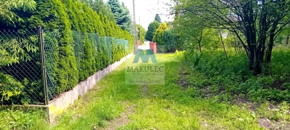 Zdjęcie 3